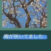 ヒメ日記 2026/01/22 18:02 投稿 雪代まりん(ゆきしろまりん) 五十路マダムエクスプレス厚木店(カサブランカグループ)
