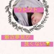 ヒメ日記 2026/02/19 12:48 投稿 雪代まりん(ゆきしろまりん) 五十路マダムエクスプレス厚木店(カサブランカグループ)