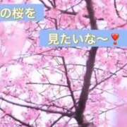 ヒメ日記 2026/03/06 07:36 投稿 雪代まりん(ゆきしろまりん) 五十路マダムエクスプレス厚木店(カサブランカグループ)