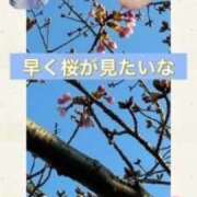 ヒメ日記 2026/03/16 16:04 投稿 雪代まりん(ゆきしろまりん) 五十路マダムエクスプレス厚木店(カサブランカグループ)