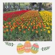 ヒメ日記 2026/04/17 08:44 投稿 雪代まりん(ゆきしろまりん) 五十路マダムエクスプレス厚木店(カサブランカグループ)