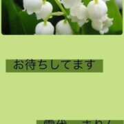 ヒメ日記 2026/05/06 15:36 投稿 雪代まりん(ゆきしろまりん) 五十路マダムエクスプレス厚木店(カサブランカグループ)