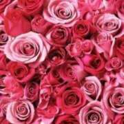 ヒメ日記 2025/07/10 07:56 投稿 一条のあ 癒したくて千葉店～日本人アロマ性感～