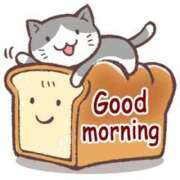 ヒメ日記 2025/08/18 11:00 投稿 こゆき チューリップ姫路店