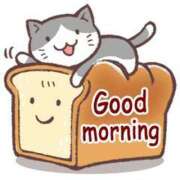 ヒメ日記 2025/08/22 10:10 投稿 こゆき チューリップ姫路店