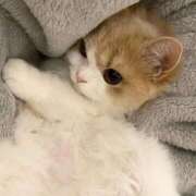 ヒメ日記 2025/08/01 13:38 投稿 ☆あの☆ ◆プラウディア◆AAA級素人娘在籍店