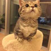 ヒメ日記 2025/08/02 13:18 投稿 ☆あの☆ ◆プラウディア◆AAA級素人娘在籍店