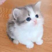 ヒメ日記 2025/08/02 14:10 投稿 ☆あの☆ ◆プラウディア◆AAA級素人娘在籍店