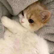 ヒメ日記 2025/08/30 01:17 投稿 ☆あの☆ ◆プラウディア◆AAA級素人娘在籍店