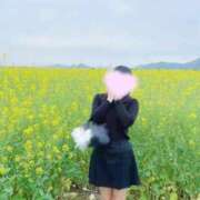 ヒメ日記 2026/05/15 15:24 投稿 ☆あの☆ ◆プラウディア◆AAA級素人娘在籍店