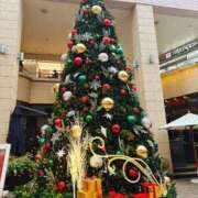 ヒメ日記 2025/11/27 22:39 投稿 みお Second Love（セカンドラブ）