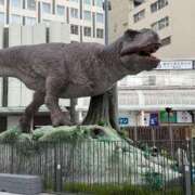 ヒメ日記 2025/06/24 21:34 投稿 みる チューリップ福井本館