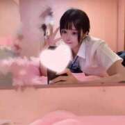 ヒメ日記 2025/07/06 06:04 投稿 みる チューリップ福井本館