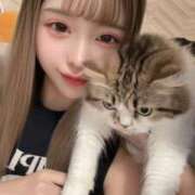 ヒメ日記 2025/08/02 11:24 投稿 みる チューリップ福井本館