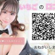 いちご 🎀口コミのお願い🎀 JAPAN CLUB BUNNY LOUNGE