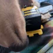 ヒメ日記 2025/06/23 02:56 投稿 ゆう 熟女の風俗最終章 蒲田店