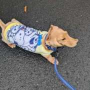 ヒメ日記 2025/06/26 08:20 投稿 ゆう 熟女の風俗最終章 蒲田店