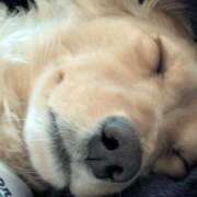 ヒメ日記 2025/06/27 00:50 投稿 ゆう 熟女の風俗最終章 蒲田店