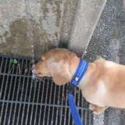 ヒメ日記 2025/06/27 09:30 投稿 ゆう 熟女の風俗最終章 蒲田店