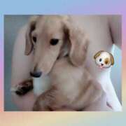 ヒメ日記 2025/07/24 05:20 投稿 ゆう 熟女の風俗最終章 蒲田店