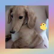 ヒメ日記 2025/07/24 12:00 投稿 ゆう 熟女の風俗最終章 蒲田店