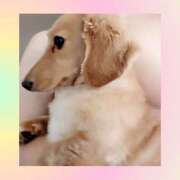 ヒメ日記 2025/07/26 23:50 投稿 ゆう 熟女の風俗最終章 蒲田店