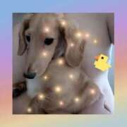 ヒメ日記 2025/09/09 12:20 投稿 ゆう 熟女の風俗最終章 蒲田店