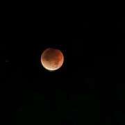 ヒメ日記 2025/09/09 17:50 投稿 ゆう 熟女の風俗最終章 蒲田店