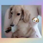 ヒメ日記 2025/09/14 19:50 投稿 ゆう 熟女の風俗最終章 蒲田店