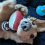 ヒメ日記 2025/09/17 16:32 投稿 ゆう 熟女の風俗最終章 蒲田店