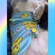 ヒメ日記 2025/11/17 21:20 投稿 ゆう 熟女の風俗最終章 蒲田店