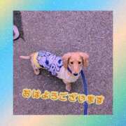 ヒメ日記 2025/11/22 08:10 投稿 ゆう 熟女の風俗最終章 蒲田店