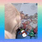 ヒメ日記 2025/12/19 17:31 投稿 ゆう 熟女の風俗最終章 蒲田店