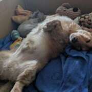 ヒメ日記 2025/12/19 20:50 投稿 ゆう 熟女の風俗最終章 蒲田店