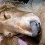 ヒメ日記 2025/12/21 06:22 投稿 ゆう 熟女の風俗最終章 蒲田店