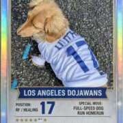 ヒメ日記 2025/12/22 11:45 投稿 ゆう 熟女の風俗最終章 蒲田店