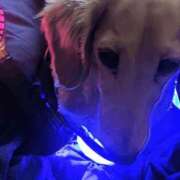 ヒメ日記 2025/12/24 03:20 投稿 ゆう 熟女の風俗最終章 蒲田店