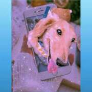 ヒメ日記 2025/12/31 03:40 投稿 ゆう 熟女の風俗最終章 蒲田店