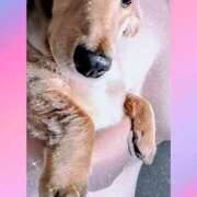 ヒメ日記 2026/01/04 01:00 投稿 ゆう 熟女の風俗最終章 蒲田店