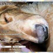 ヒメ日記 2026/01/11 18:20 投稿 ゆう 熟女の風俗最終章 蒲田店