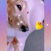 ヒメ日記 2026/01/12 04:40 投稿 ゆう 熟女の風俗最終章 蒲田店