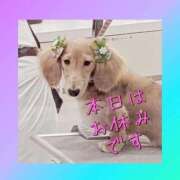 ヒメ日記 2026/01/13 14:20 投稿 ゆう 熟女の風俗最終章 蒲田店