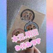 ヒメ日記 2026/01/14 12:20 投稿 ゆう 熟女の風俗最終章 蒲田店