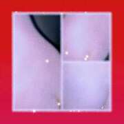 ヒメ日記 2026/01/24 07:56 投稿 ゆう 熟女の風俗最終章 蒲田店