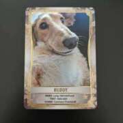 ヒメ日記 2026/01/25 06:40 投稿 ゆう 熟女の風俗最終章 蒲田店