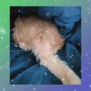 ヒメ日記 2026/01/28 09:50 投稿 ゆう 熟女の風俗最終章 蒲田店