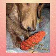 ヒメ日記 2026/01/29 14:54 投稿 ゆう 熟女の風俗最終章 蒲田店