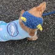 ヒメ日記 2026/02/03 22:03 投稿 ゆう 熟女の風俗最終章 蒲田店