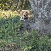 ヒメ日記 2026/02/11 06:50 投稿 ゆう 熟女の風俗最終章 蒲田店