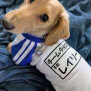 ヒメ日記 2026/04/26 16:33 投稿 ゆう 熟女の風俗最終章 蒲田店